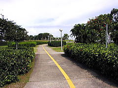East Coast Park̎]ԐpH